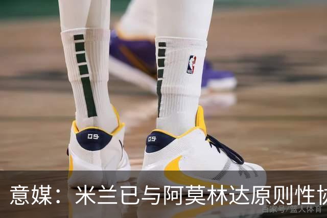 意媒：米兰已与阿莫林达原则性协议，2+1合同年薪约300万欧